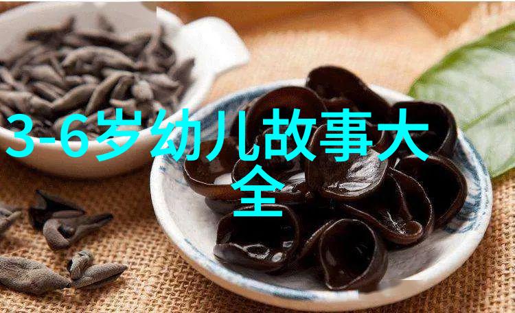 历史巨匠的光芒探索那些改变世界的演讲