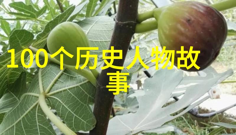 神话故事免费探秘揭开传说中的世界之门