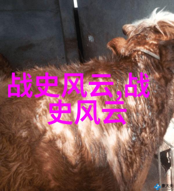 家庭结构变革子女成长在一夫多妻家庭中的体验分享