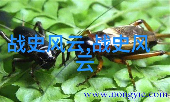 民间十大神话传说故事我来跟你聊聊那些老掉牙的好故事吧