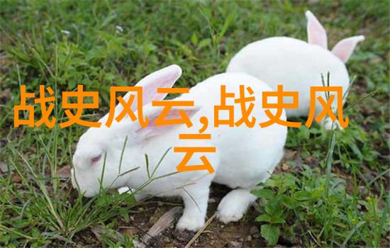 亲情的纽带揭秘朋友的母亲5完整视频有翻译背后的故事与意义