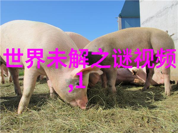 仙界之战仙神对决的巅峰