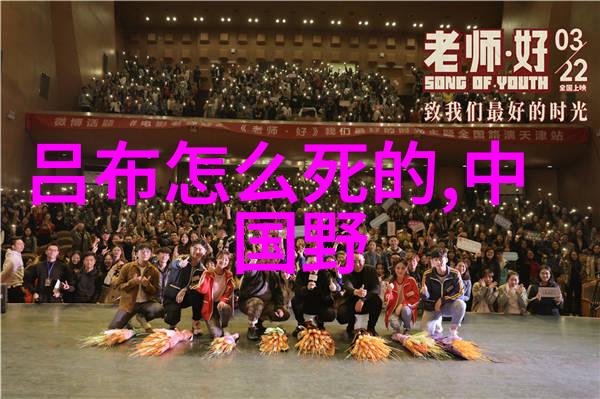 高桂枝老戏曲电视剧大全中的自然之美