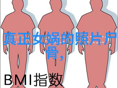儿童免费听故事大全-魔法森林里的奇遇儿童免费故事集