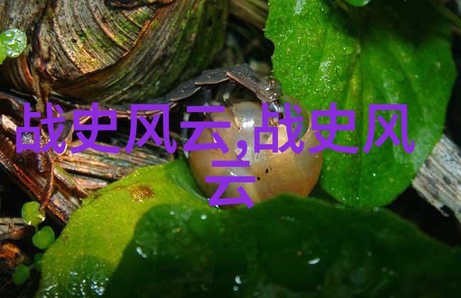 在有限空间中进行三人运动又能做什么