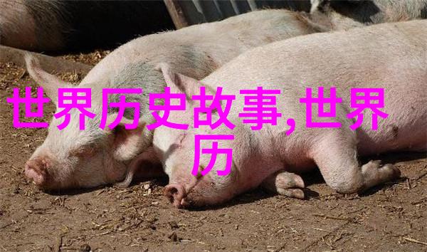 1925年中国处于什么社会我眼中的五四运动一场风雨中的青春
