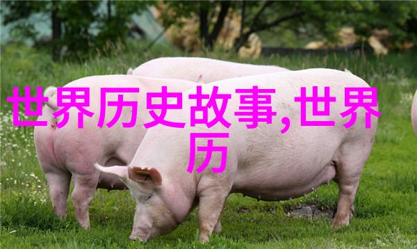 2022年真实搞笑新闻全球范围内失踪的袜子事件让人头疼