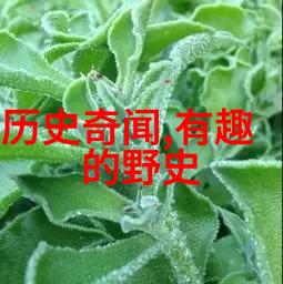深夜的屠杀分析407事件的恐怖程度