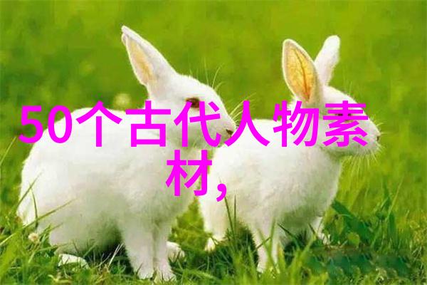 品牌爱心使命行动传递温暖与责任