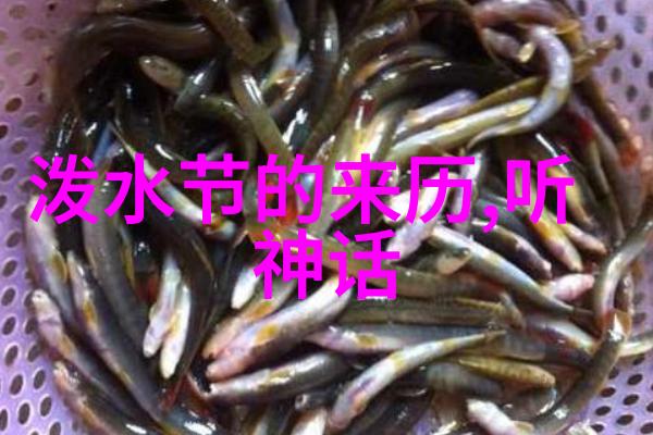 豫剧花旦朱桂芹舞台上的艺术珍珠