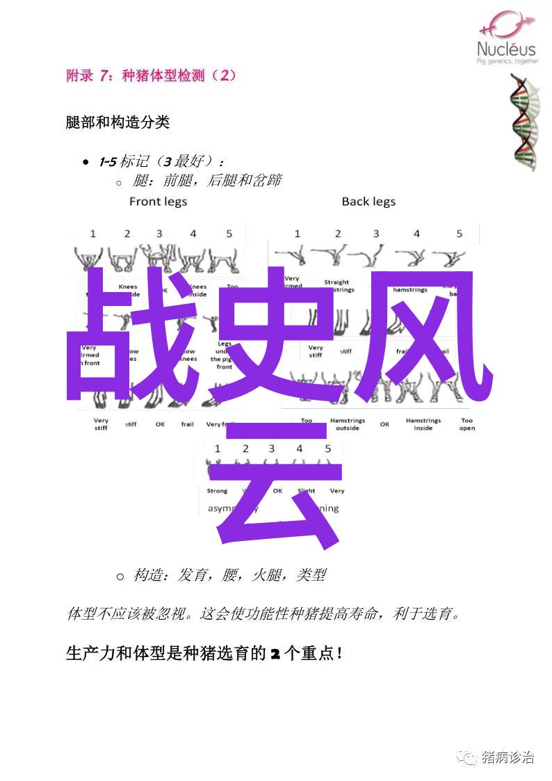 探索中国民间信仰背后的深远意义和寓意神话故事大观展览