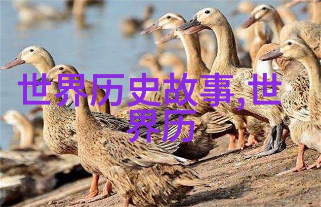 西游记背后的真实故事唐朝与丝绸之路的兴衰