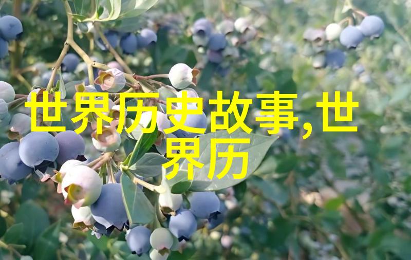隋朝名人苏沙罗的辉煌足迹