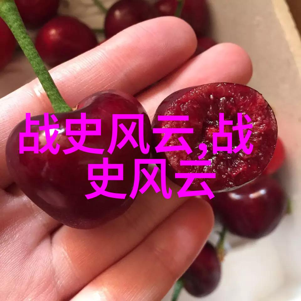 野史趣闻ppt-揭秘历史的侧面趣味横生的野史故事汇编