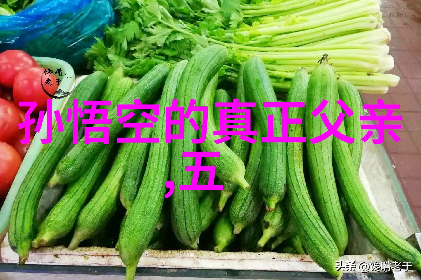 阿老瓦丁宋朝的智者与梦想
