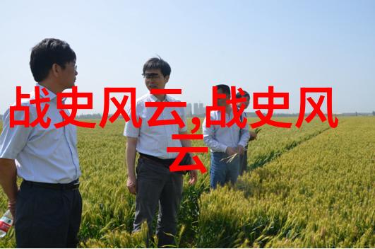 揭开历史面纱上下五千年野史中隐藏着怎样的社会矛盾和变革