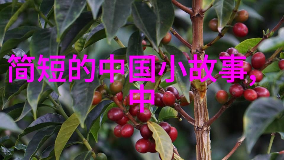 周穆王梦白虎通义 梦境中的智慧传承