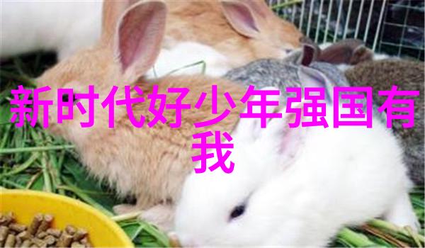 民间十大神话传说故事古代神祇与凡人奇遇