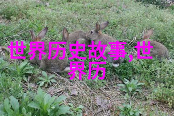 东方风华录中国古代名士野史趣闻