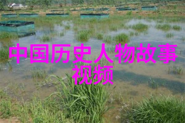 文化名人的家居风水智慧揭秘重要性