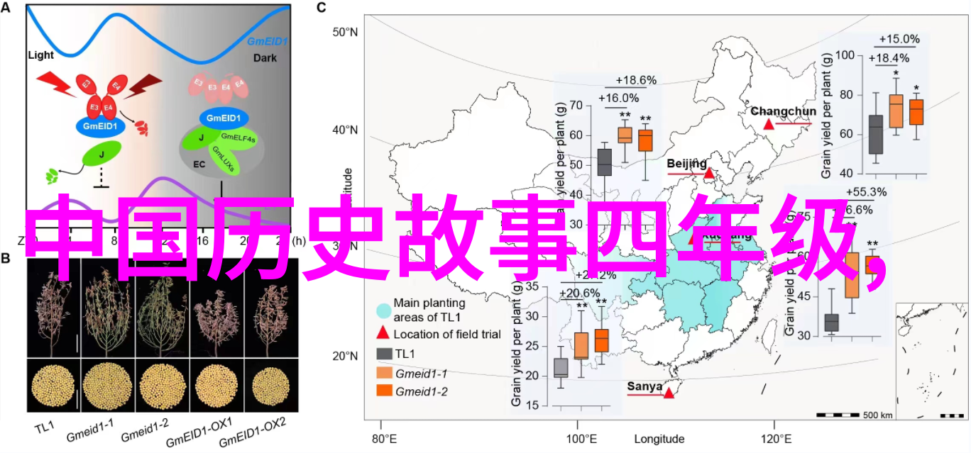 公交车两小时视频风波乘客的无奈与司机的不作为