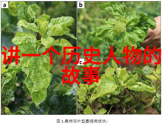催人泪下的红色故事演讲稿亲爱的你听完这段历史会不会也流泪