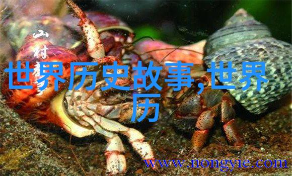 在中国历史朝代顺序的深沉背景下明末降将如云却为何吴三桂一人成为万人痛恨的象征