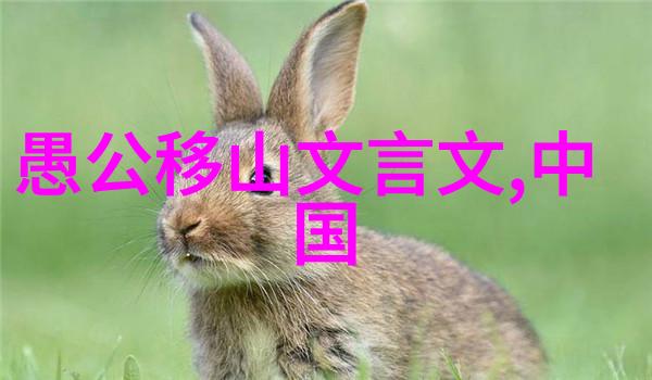 明朝灭亡之谜为什么这座曾经辉煌的帝国最终崩溃