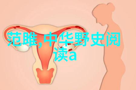 烽火连天历史上的边境冲突与和平协议