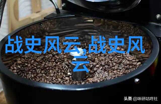 月栖宸宫txt我在月光下遇见的那座神秘宫殿
