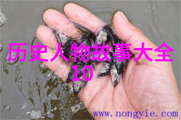 神威之怒战神狂飙的终极挑战