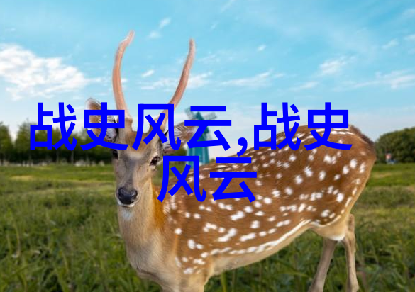 大秦妖妃 - 秀丽幻影中的权谋与爱情