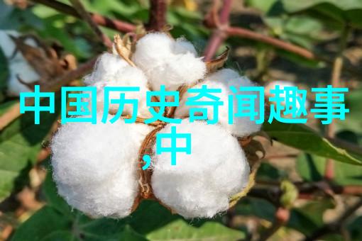 二战中的英雄们他们是如何面对死亡的