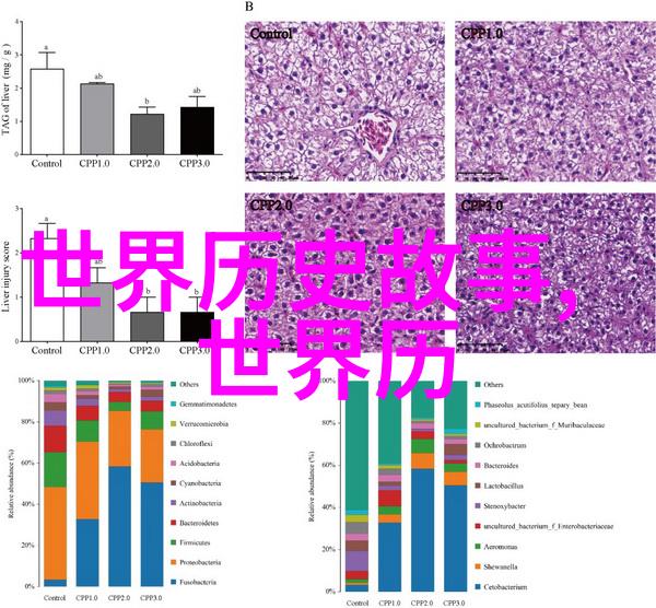 传说中的龙凤中国神话故事中的祥瑞动物