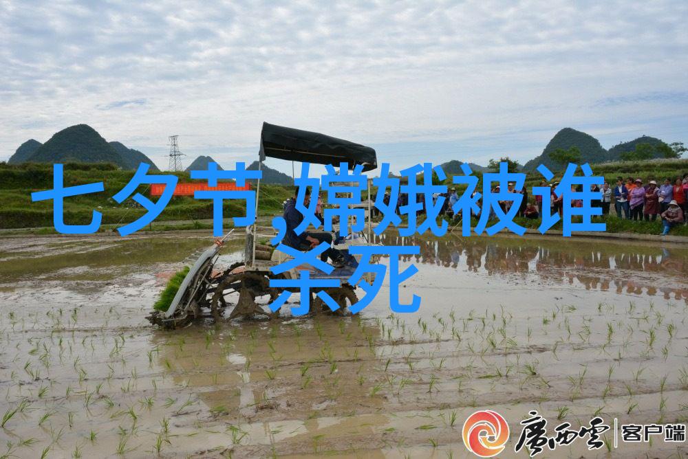 赵兵伟朝阳沟的诗意编织者演绎老版唱段的艺术奇缘
