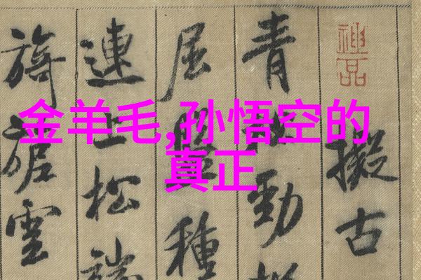 达芬奇的失落画卷一段神秘艺术家的传奇
