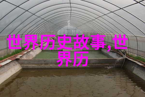 霓裳辞世错孕逃妃的绝境归途