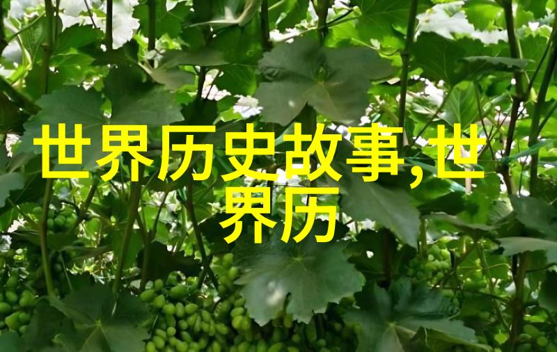 化物语灵异传说与虚拟世界的交响