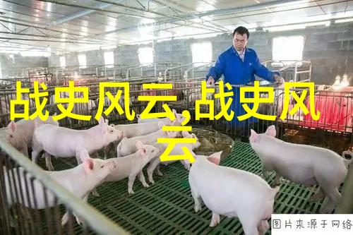 历史成语故事我是怎么学会滴水穿石的