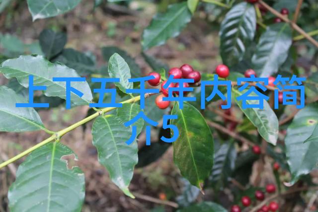 中国近代历史小故事书籍的阅读之旅