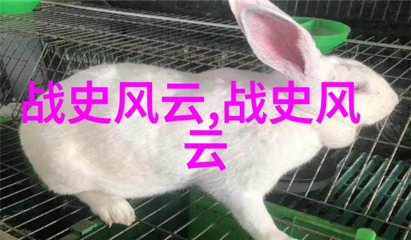 明朝那些事背后的故事副厅级干部的文史探究