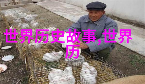 2023奇闻趣事大全集揭秘新年奇观与趣味故事