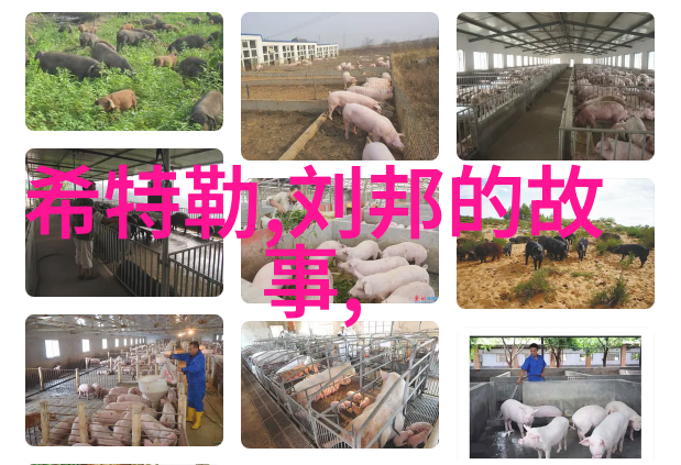 探秘新世界未知星球的奇迹与挑战