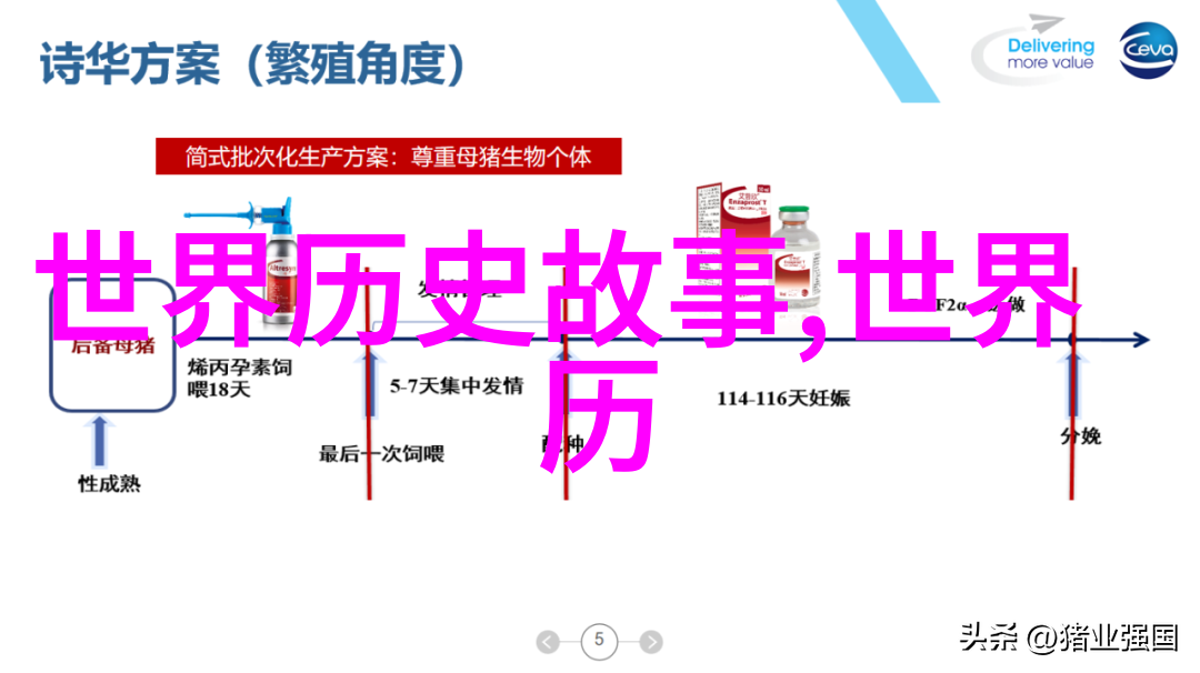 商业奇观讲述如何从小创意到巨富的事例