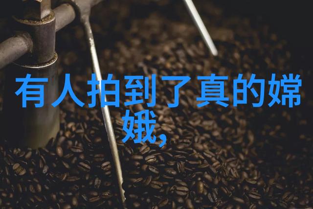 木棉庵里的故纸堆揭秘中国近代史中的历史人物与故事