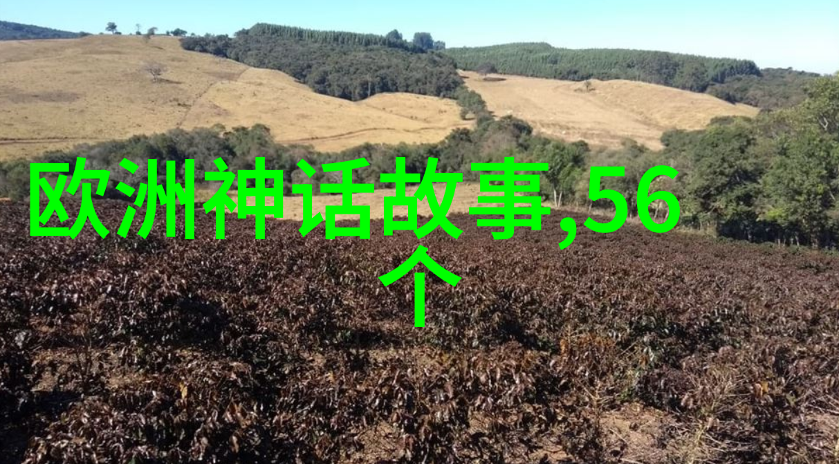 康有为维新变法先行者不可忽视的一份忠言