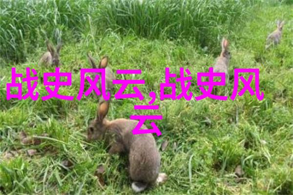 南朝时期的统一与分裂从吴国到梁陈的兴衰变迁