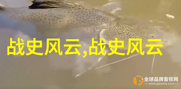 葛桂璋葛草旺豫剧丑行演员曲剧全场戏大全全集盛宴