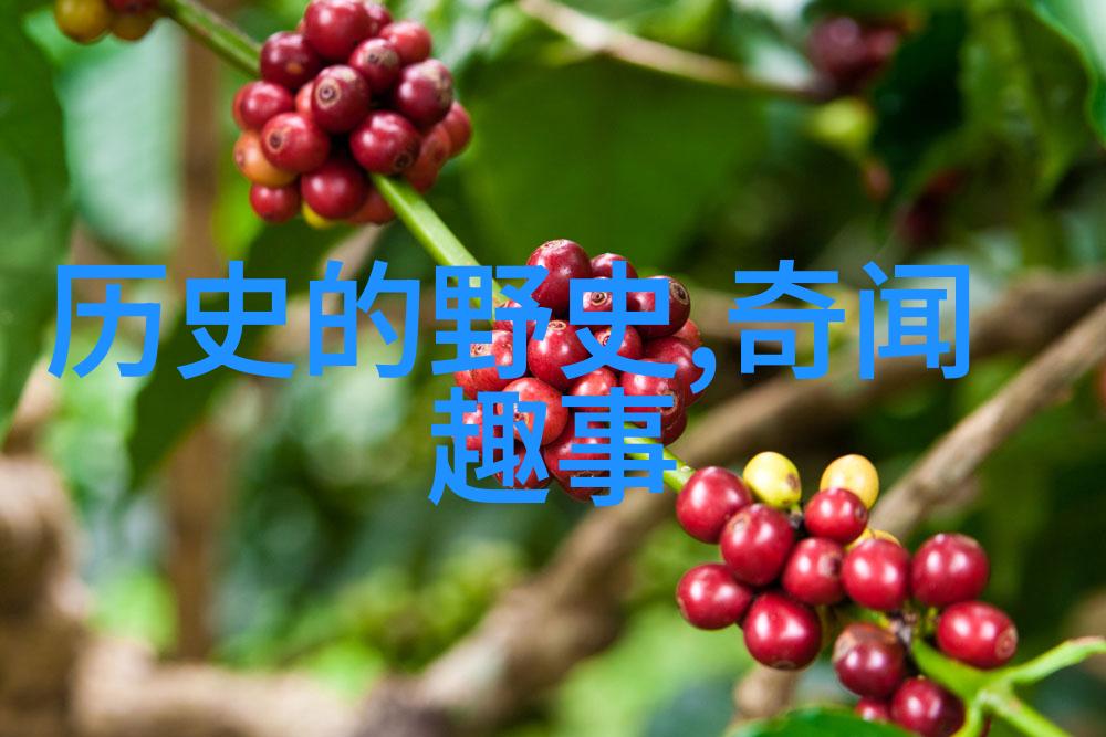 穿越梦境的兔子揭秘胸前大兔子蹦出的神奇视频背后