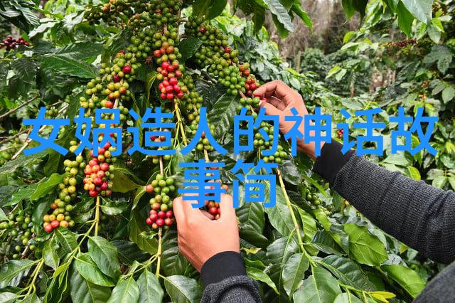 一天中的趣事日记300字 - 时光的碎片一日之趣
